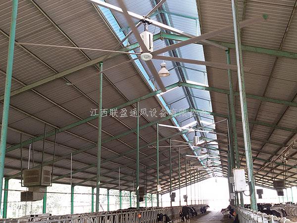 大型工業(yè)吊扇,工業(yè)大風(fēng)扇,大型工業(yè)風(fēng)扇
