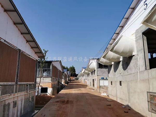 負壓風機,玻璃鋼負壓風機,鍍鋅板負壓風機