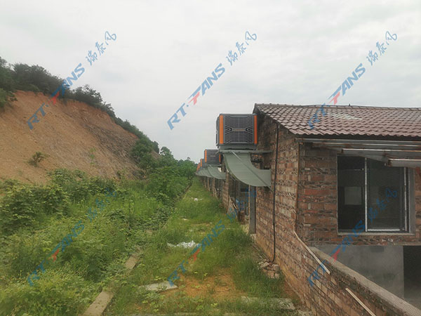 工廠降溫,冷風機,環(huán)保空調(diào)